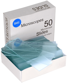 BMS objectglaasjes 75 x 26 mm