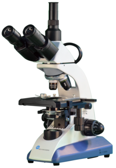 BMS EduLed FLArQ trino