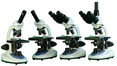 BMS 146 FLAsQ, monoculair