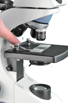 BMS EduLed FLArQ trinoculair