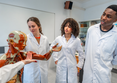 Laboratoriumjas, unisex, large