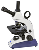 BMS EduLed FLArQ; duo kop