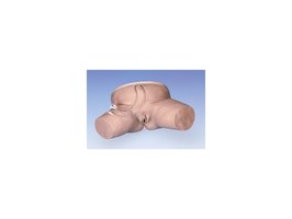 Simulator katheterisatie vrouw