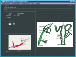 CD-rom voor schoolserie B