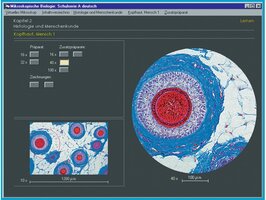 CD-rom voor schoolserie C