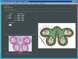 CD-rom voor schoolserie D