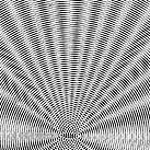 Interferentiemodel volgens Pohl