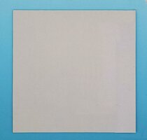 CPS blindpaneel 300 mm