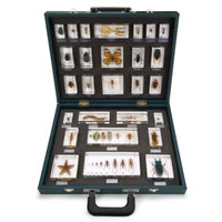 Leskoffer 27 ongewervelde dieren