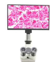 BMS Cellpad 4K, WIFI, HDMI, 8 MP